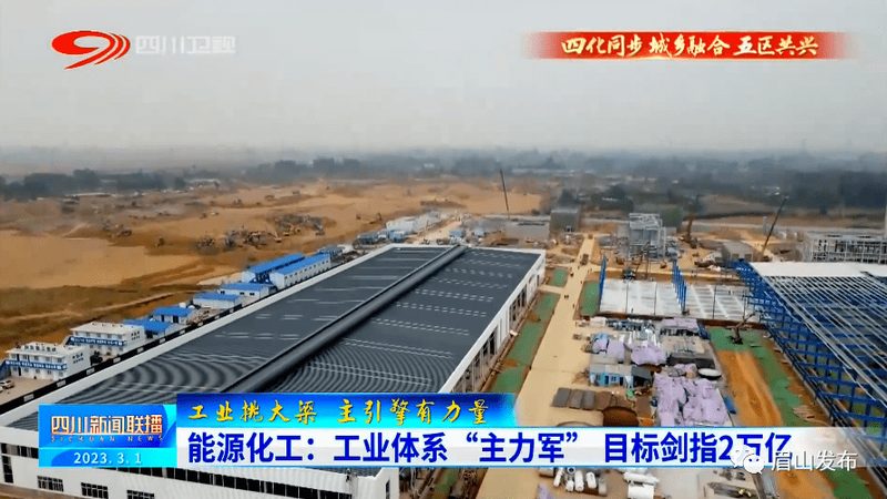 造纸化学助剂：揭秘其价格背后的因素**